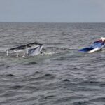 Perahu Jolloro Tenggelam Di Laut Galesong